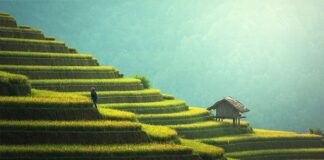 Jak zabudować boki tarasu?