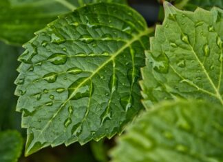 Jak pozbyć się wilgoci z lampy?