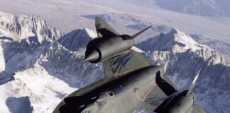 Czy ultradźwiękowy odstraszacz psów jest skuteczny?