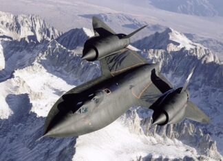 Czy ultradźwiękowy odstraszacz psów jest skuteczny? Czy ultradźwiękowy odstraszacz psów jest skuteczny?