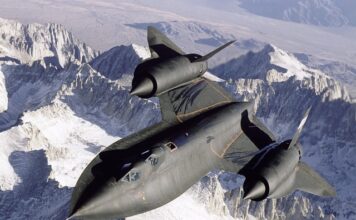 Czy ultradźwiękowy odstraszacz psów jest skuteczny?