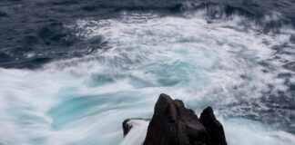 Czy ceny materiałów budowlanych spadną w 2023?