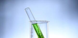 Jak pozbyć się glonów z kostki brukowej?