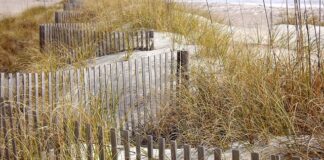 Ile kosztuje ogrodzenie z płyt betonowych?