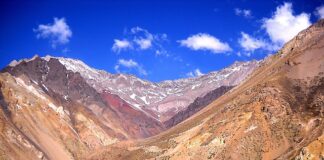 Jaka żyrafa do gipsu forum?