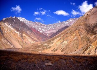 Jaka żyrafa do gipsu forum? Jaka żyrafa do gipsu forum?