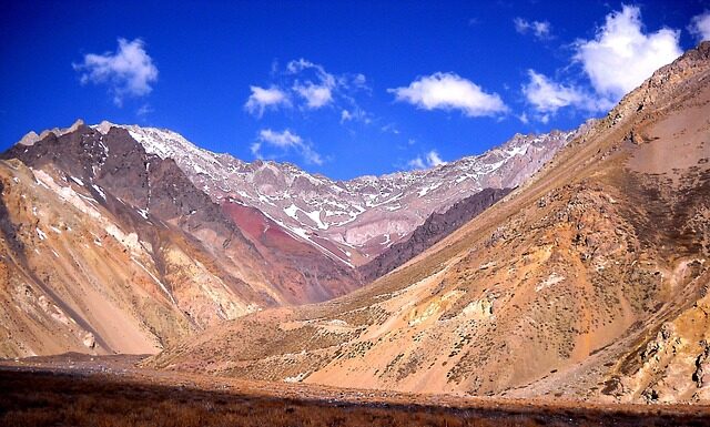 Jaka żyrafa do gipsu forum?