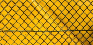 Ile kosztuje najtańsza siatka ogrodzeniowa?