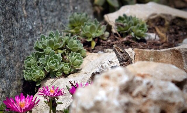 Jak usunąć tłuste plamy z matowych mebli? Jak usunąć tłuste plamy z matowych mebli?