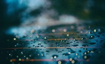 Czy odstraszacz kun jest skuteczny?