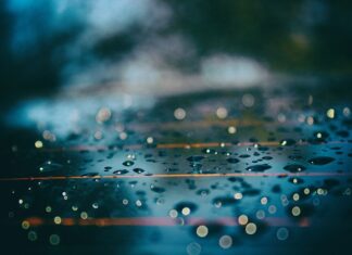 Jaki odstraszacz kun polecacie?