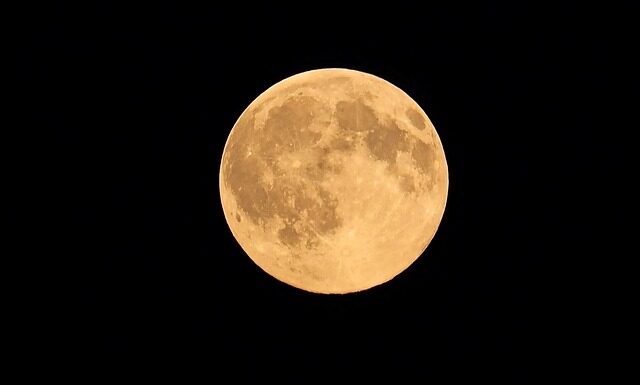 Jak zrobić bimber w szybkowarze?