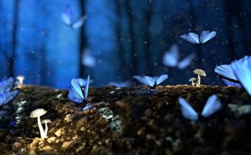 Co na owady w ogrodzie? Co na owady w ogrodzie?