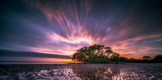 Ile wynosi odpływ roczny?