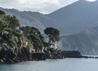 Ile kosztuje przęsło ogrodzenia betonowego? Ile kosztuje przęsło ogrodzenia betonowego?