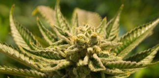 Jak zalegalizować przydomowa oczyszczalnie ścieków?