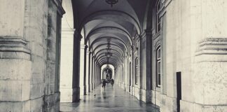 Na jaką głębokość kopać staw?