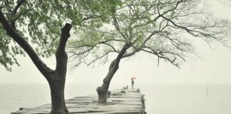 Jak wykończyć brzegi płyty meblowej?