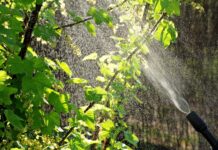 Ile płynu Ludwika do oprysku? Ile płynu Ludwika do oprysku?