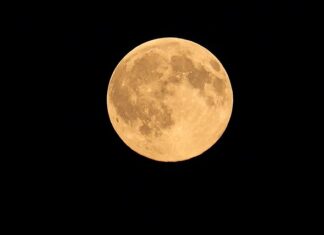 Jak długo ma stać zacier na bimber?