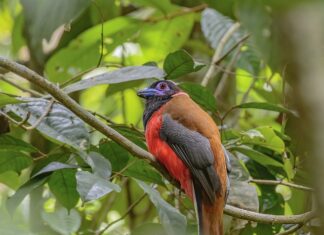 Jak zapobiec ukąszeniu? Jak zapobiec ukąszeniu?