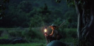 Po czym poznać że lampa jest angielska?