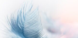 Jaki wiatr wytrzyma okno?