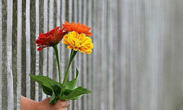 Ile kosztuje ogrodzenie działki 2023?