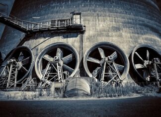 Jaka dmuchawa do liści najlepsza? Jaka dmuchawa do liści najlepsza?