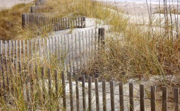 Czy ogrodzenie betonowe wyciszy?