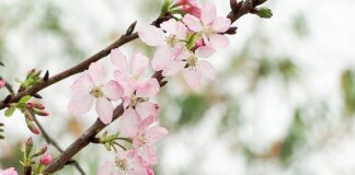 Jaka jest żywotność okien plastikowych?