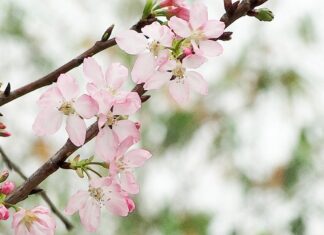 Jaka jest żywotność okien plastikowych?