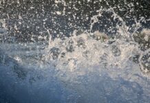 Jak pryskać octem? Jak pryskać octem?