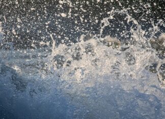 Jak pryskać octem? Jak pryskać octem?