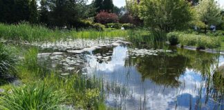 Jak zmierzyć oczko wodne?