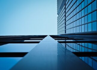 Z jakiego drzewa robi się okna? Z jakiego drzewa robi się okna?