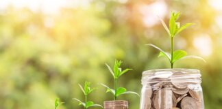 Ile jest wart rynek fajerwerków?