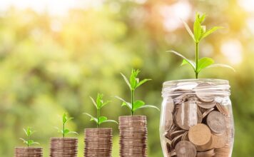 Ile jest wart rynek fajerwerków?