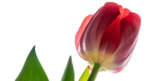 Ile opraw oświetleniowych na m2?