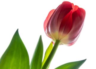 Ile opraw oświetleniowych na m2? Ile opraw oświetleniowych na m2?