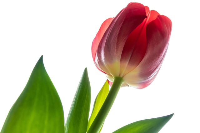 Ile opraw oświetleniowych na m2? Ile opraw oświetleniowych na m2?