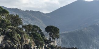 Ile kosztuje trekking w Himalajach?