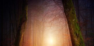 Jakie oświetlenie do salonu inspiracje?