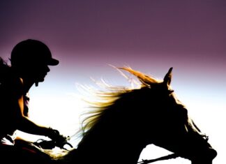 Czy w Polsce można pędzić bimber na własny użytek?