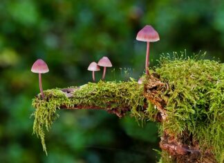 Jakie są podstawowe rodzaje oświetlenia? Jakie są podstawowe rodzaje oświetlenia?