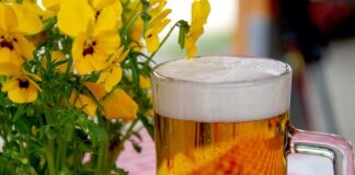 Jak zrobić ogródek z warzywami?