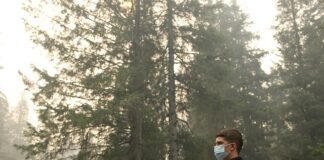 Czy jaja pasożytów są widoczne w kale?