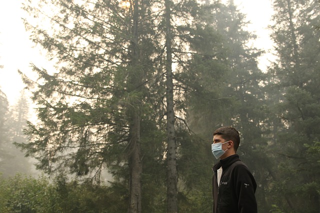 Czy jaja pasożytów są widoczne w kale? Czy jaja pasożytów są widoczne w kale?