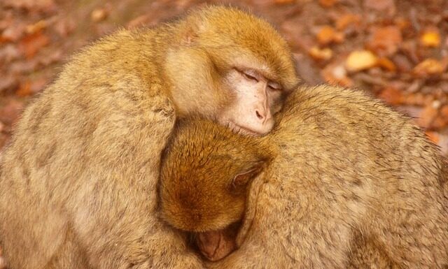 Jak grzać w bloku żeby nie płacić?