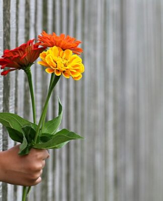 Ile za ogrodzenie z bloczków?